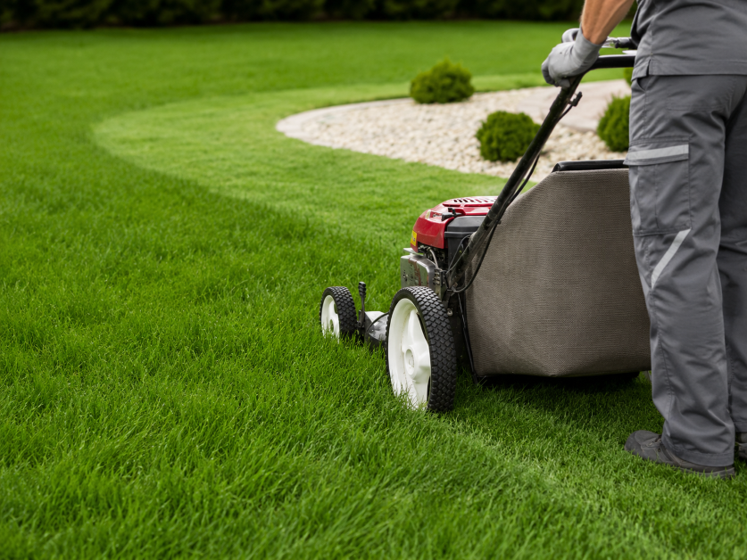 Lawn Mowing - ARO Gardening London Lawn Mowing - ARO Gardening professional service in London